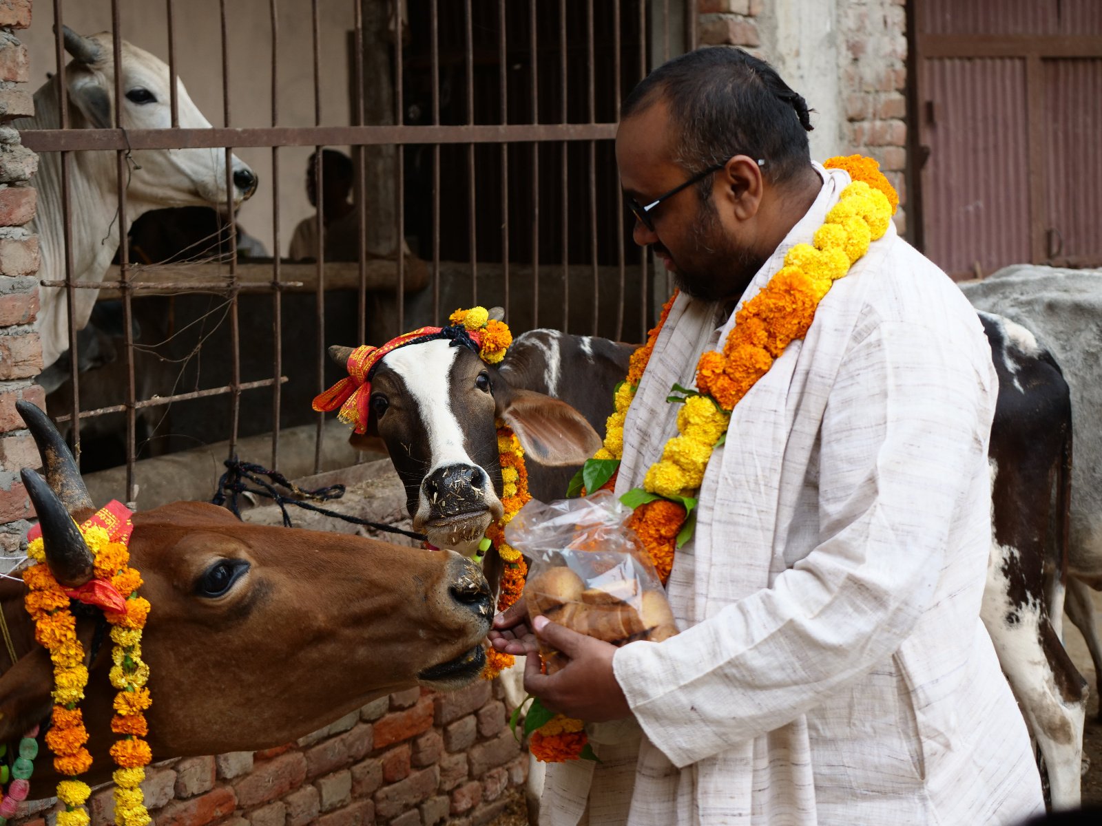  63 Gopashtami Radha kunda Govardhan 19.11.04